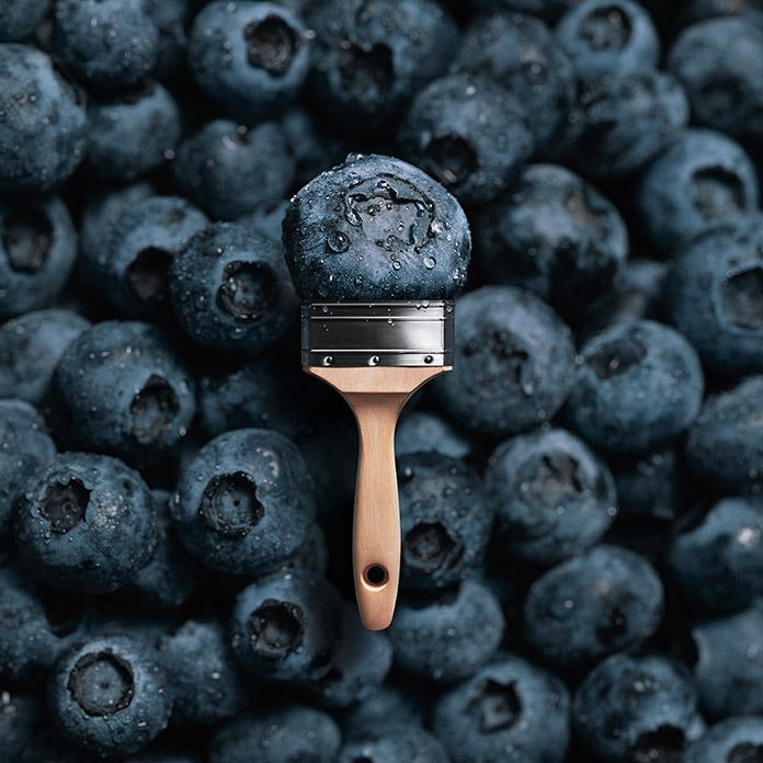 SCHÖNER WOHNEN Pittura di tendenza Blueberry