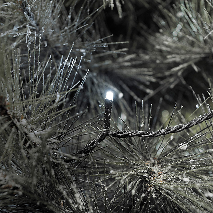 Guirlande lumineuse Micro LED Konstsmide