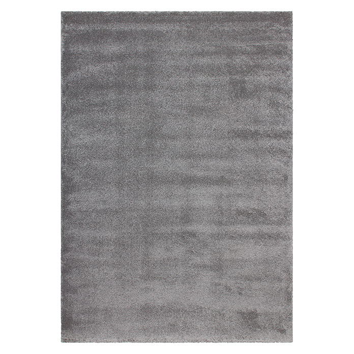 Teppich Softtouch Silver 230 x 160 cm