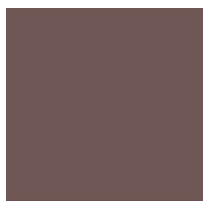 SCHÖNER WOHNEN HOME vernice colorata marrone cioccolato opaco
