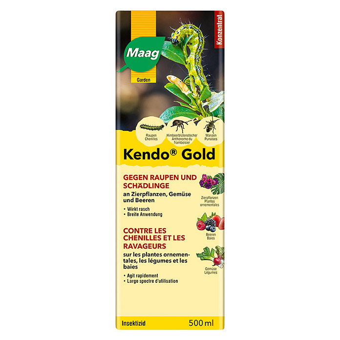 Maag Kendo Gold Concentrato