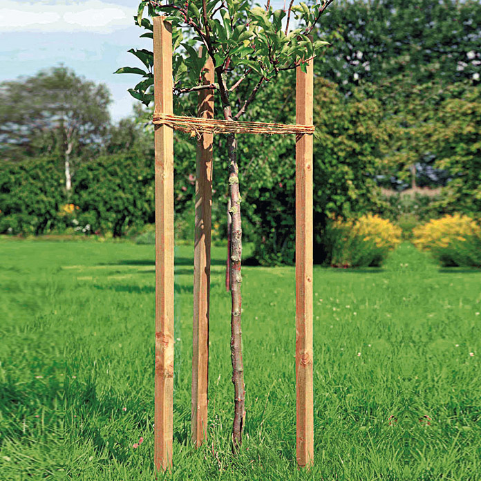 MAGIIN Kit di pali per alberi di supporto per alberi e alberi da 4 m proteggere dal vento garantire una crescita ottimale con corda resistente per raddrizzare 