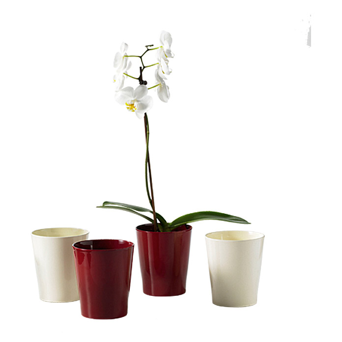 Vase pour orchidées SK Merina vanille