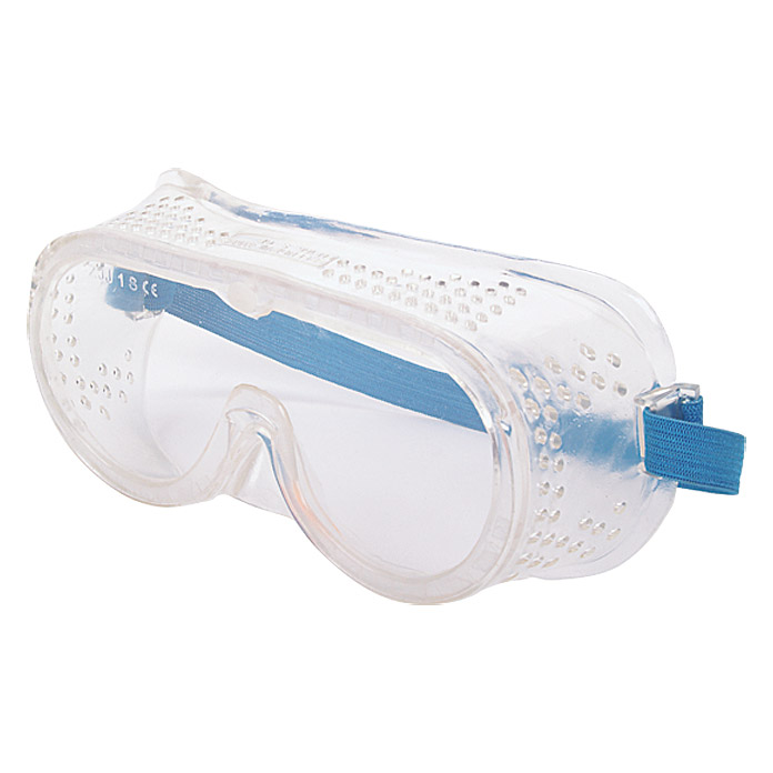 WISENT Occhiali di protezione contro la polvere