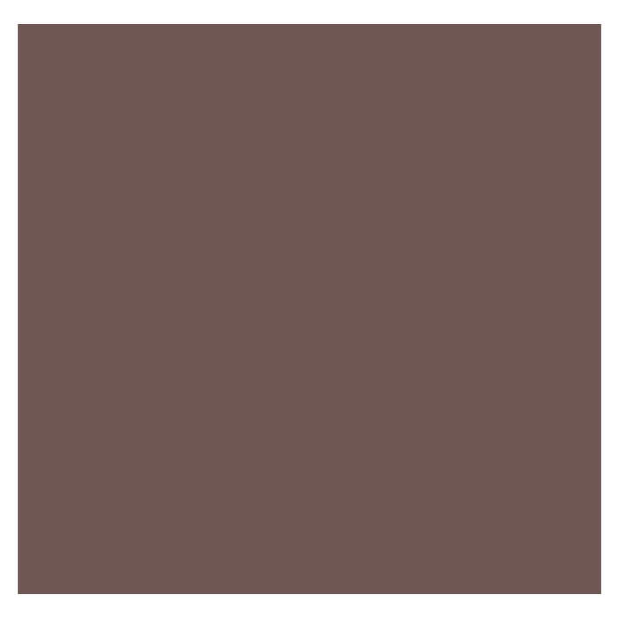swingcolor laque colorée résine synthétique brun chocolat haute brillance