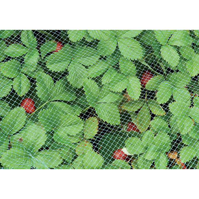 Erdbeerschutznetz 