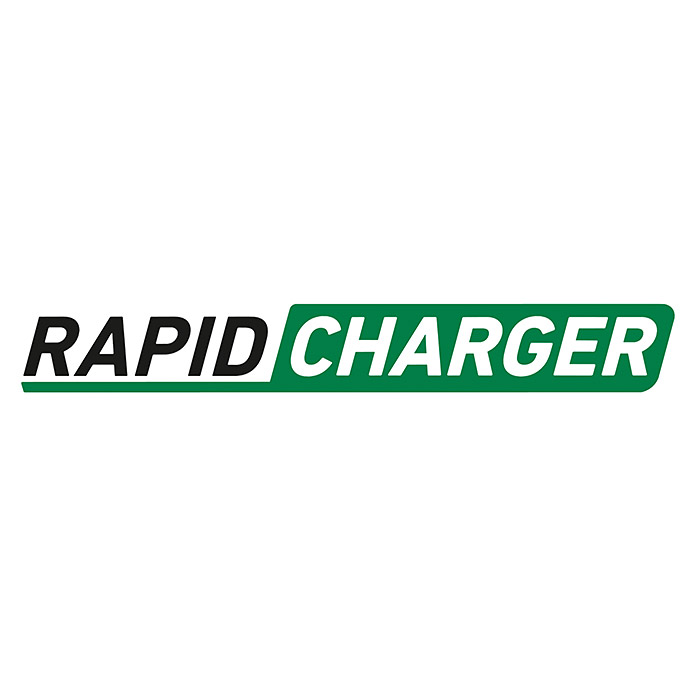 SKIL Chargeur rapide 3123AA