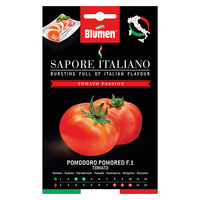 Tomate 'Pomored F1'