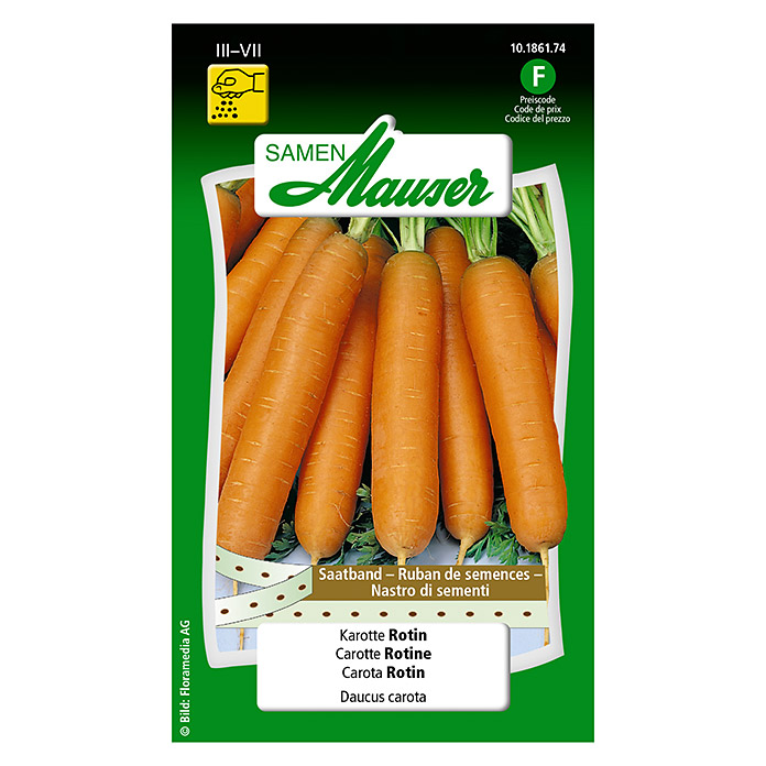 Nastro di sementi carota 'Rotin'