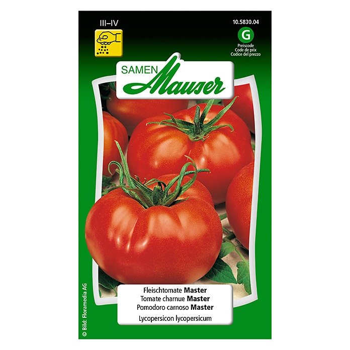 Tomate Charnue 'Master'