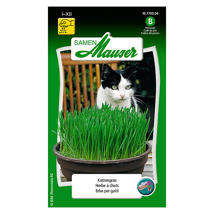 Dose di erba gatto