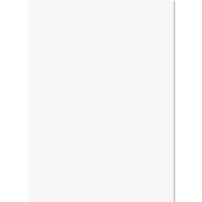 Panneau d'ameublement blanc 2000 x 500 mm