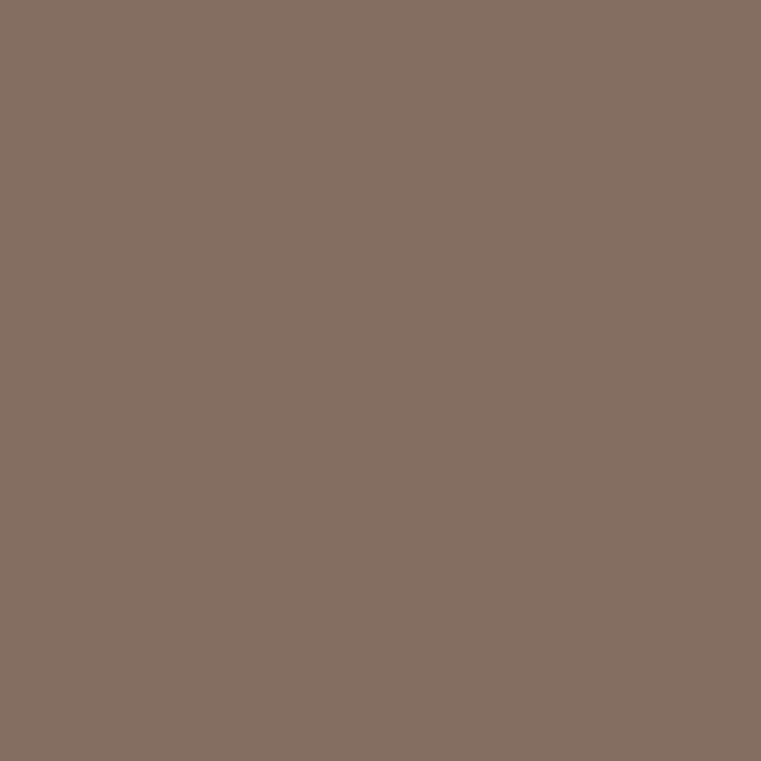 swingcolor Pittura per ambienti abitativi SIMPLY 09 marrone