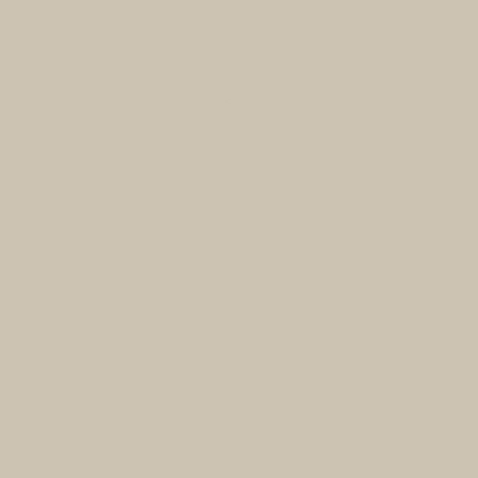 swingcolor Pittura per ambienti abitativi SIMPLY 06 beige