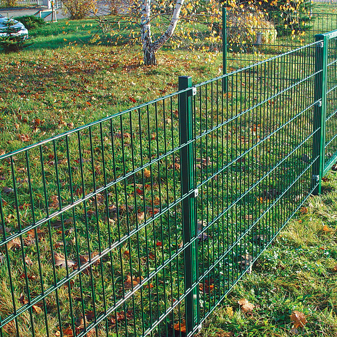 clôture de métal SMALL de hadra vert