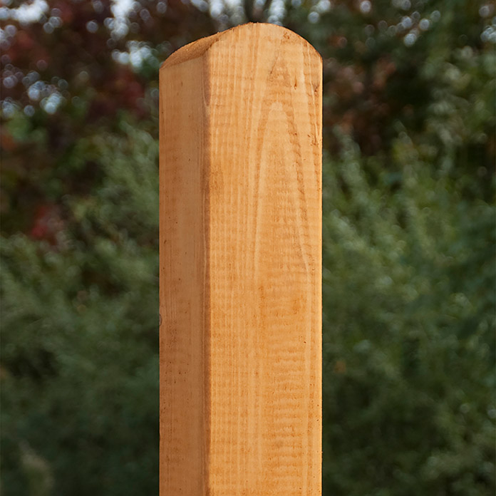 Palo in legno